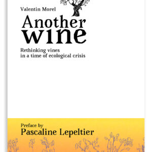 Another Wine - Valentin Morel